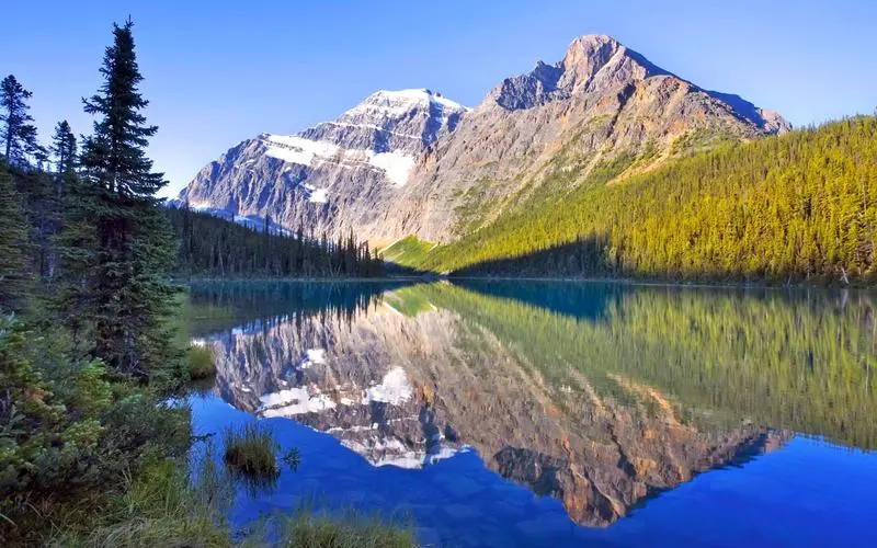 科技工业高质量